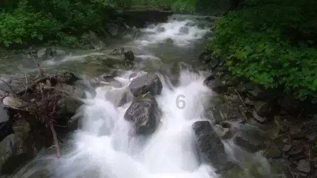 当音乐家在“上司”跟前